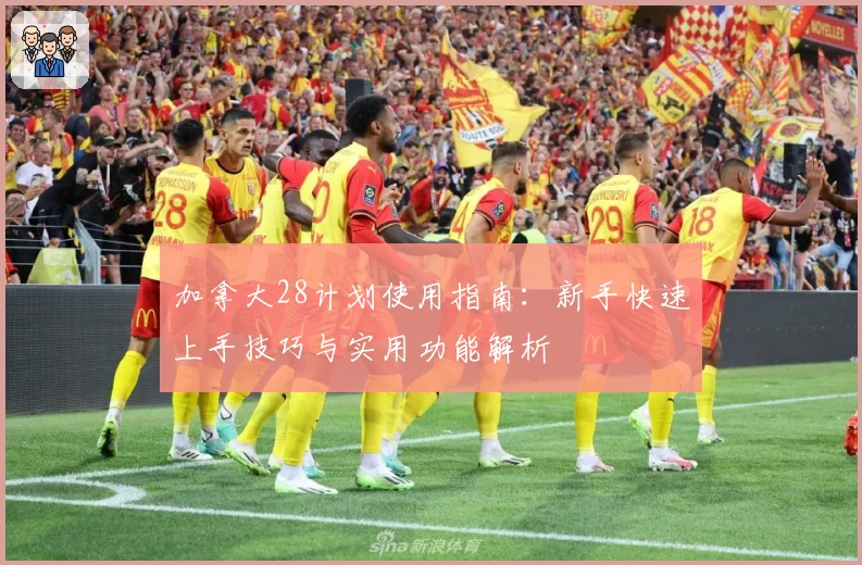 加拿大28计划使用指南：新手快速上手技巧与实用功能解析