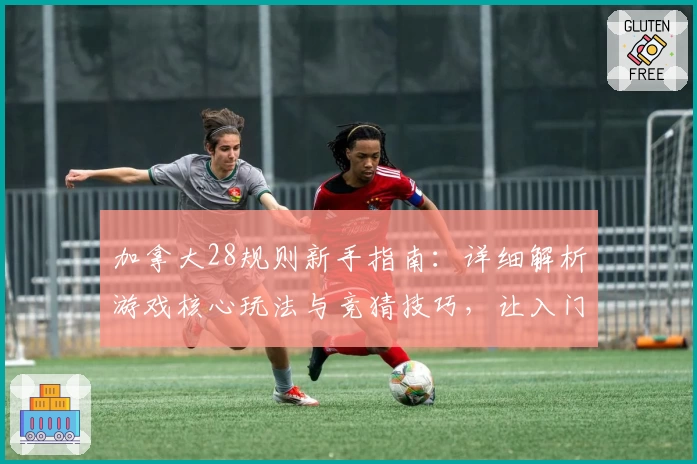 加拿大28规则新手指南：详细解析游戏核心玩法与竞猜技巧，让入门更轻松