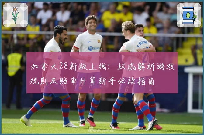 加拿大28新版上线：权威解析游戏规则及赔率计算新手必读指南