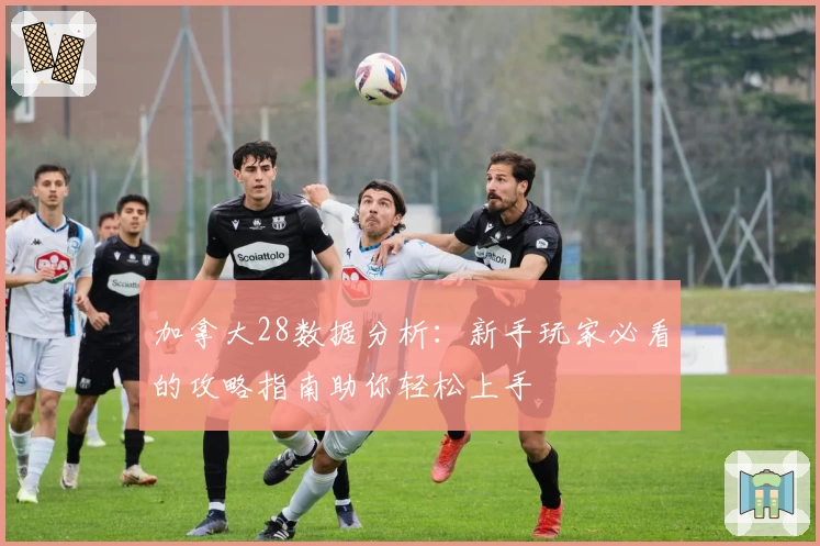 加拿大28数据分析：新手玩家必看的攻略指南助你轻松上手