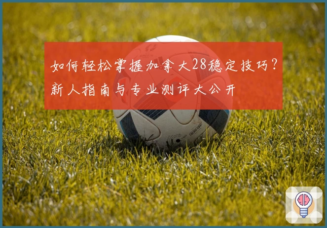 如何轻松掌握加拿大28稳定技巧？新人指南与专业测评大公开