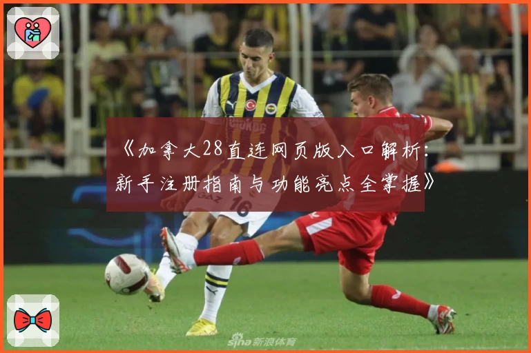 《加拿大28直连网页版入口解析：新手注册指南与功能亮点全掌握》