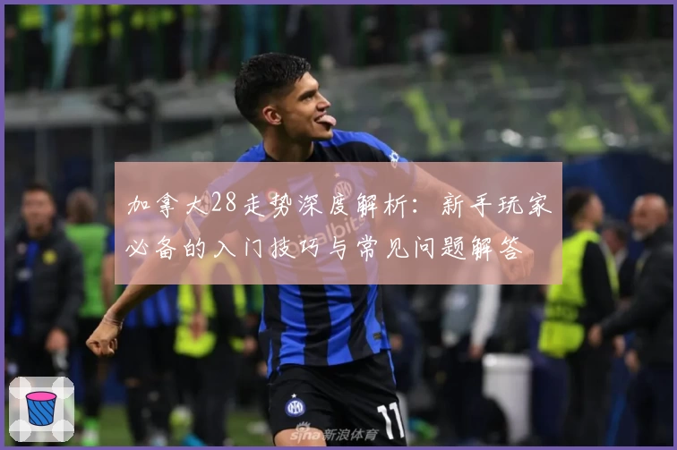 加拿大28走势深度解析：新手玩家必备的入门技巧与常见问题解答