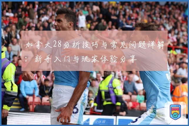 加拿大28分析技巧与常见问题详解：新手入门与玩家体验分享