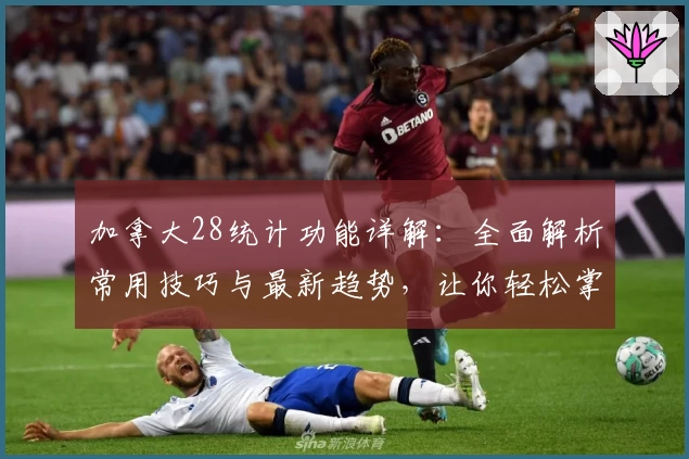加拿大28统计功能详解：全面解析常用技巧与最新趋势，让你轻松掌握数据化分析