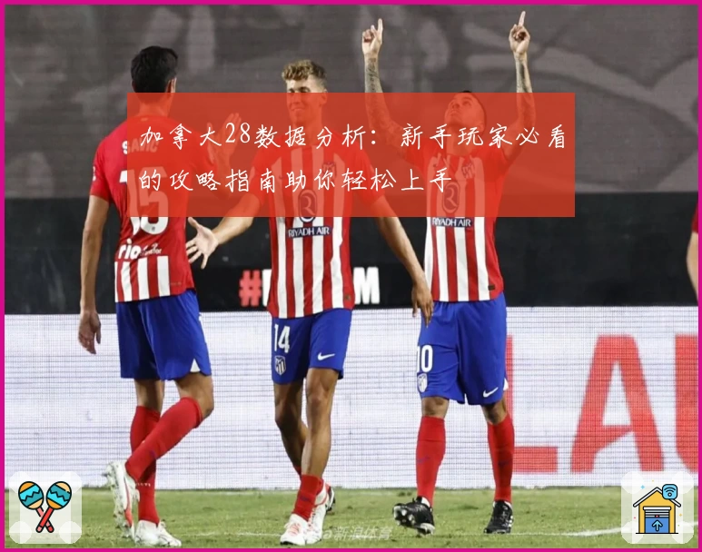 加拿大28数据分析：新手玩家必看的攻略指南助你轻松上手