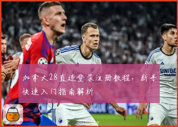 加拿大28直连登录注册教程，新手快速入门指南解析