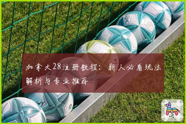 加拿大28注册教程：新人必看玩法解析与专业推荐