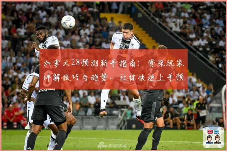 加拿大28预测新手指南：资深玩家详解技巧与趋势，让你快速上手预测玩法