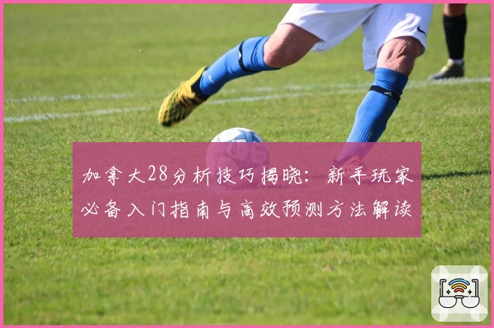 加拿大28分析技巧揭晓：新手玩家必备入门指南与高效预测方法解读