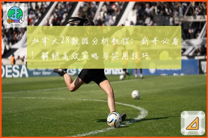 加拿大28数据分析教程：新手必看！解锁高效策略与实用技巧