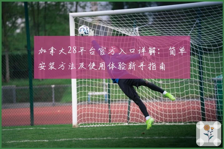 加拿大28平台官方入口详解：简单安装方法及使用体验新手指南