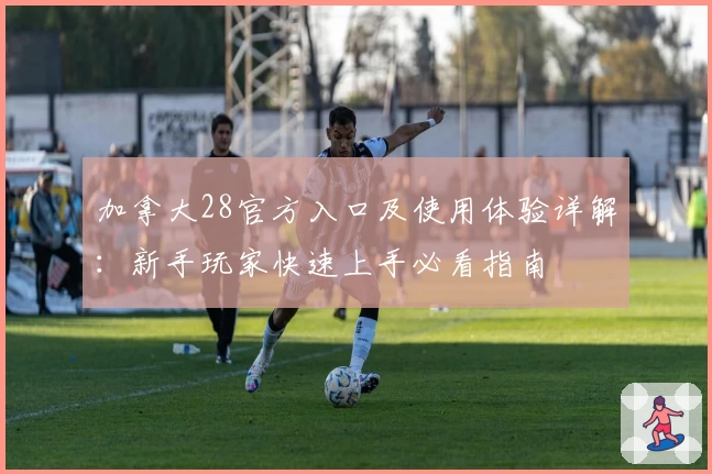 加拿大28官方入口及使用体验详解：新手玩家快速上手必看指南