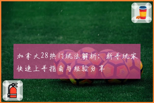 加拿大28热门玩法解析：新手玩家快速上手指南与经验分享