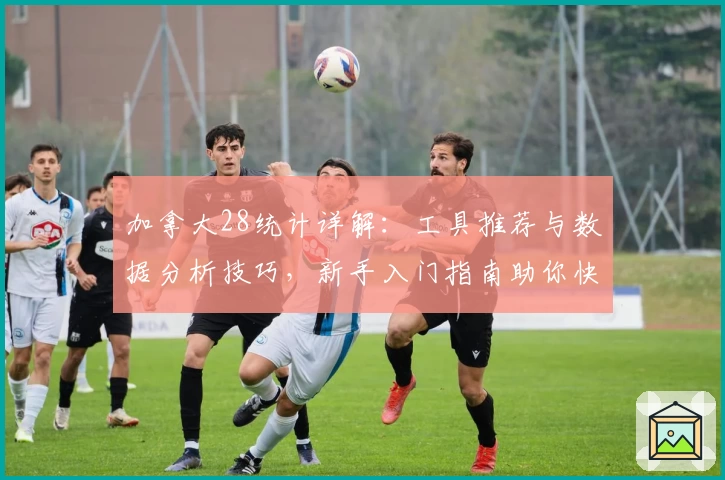 加拿大28统计详解：工具推荐与数据分析技巧，新手入门指南助你快速上手