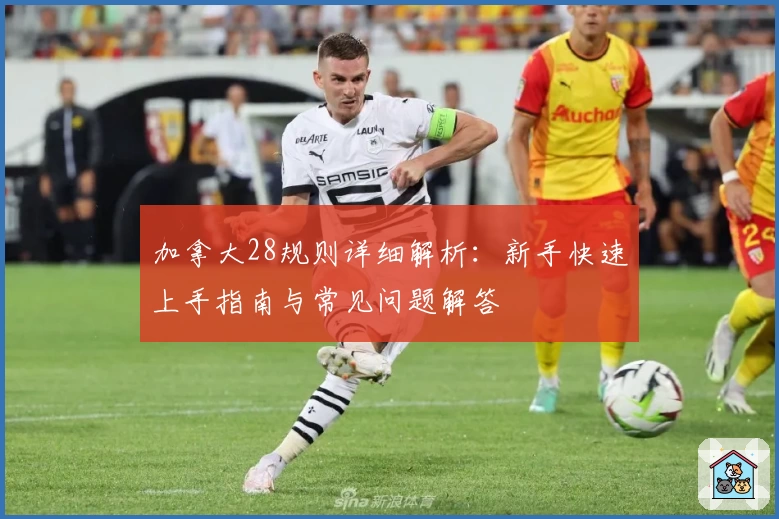 加拿大28规则详细解析：新手快速上手指南与常见问题解答