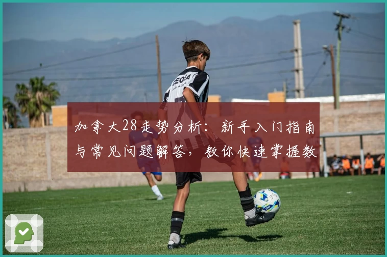 加拿大28走势分析：新手入门指南与常见问题解答，教你快速掌握数据规律