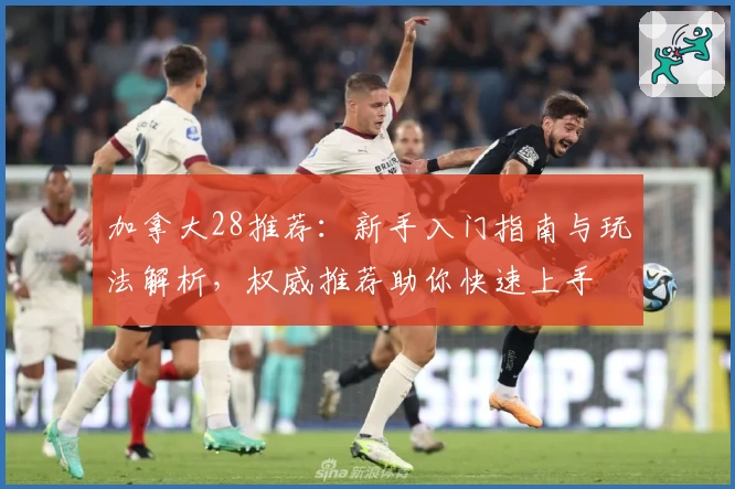 加拿大28推荐：新手入门指南与玩法解析，权威推荐助你快速上手