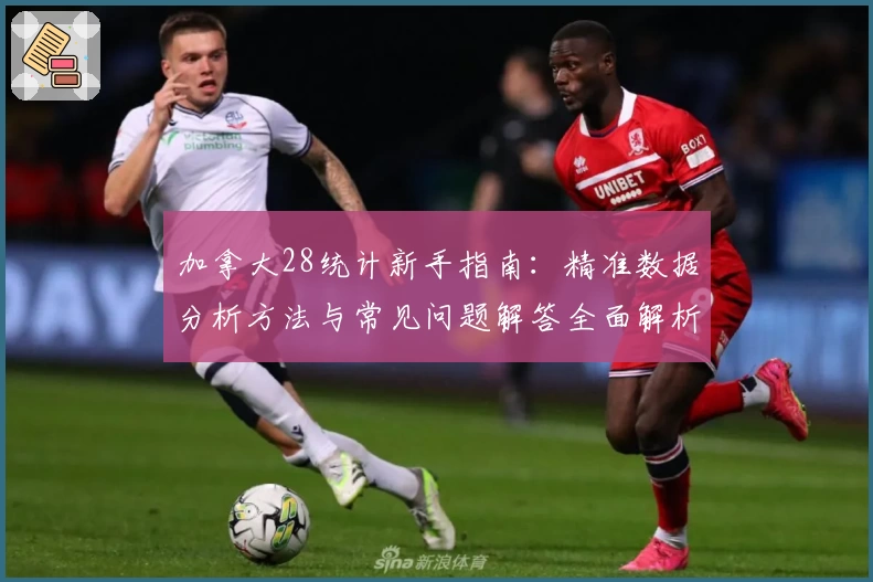 加拿大28统计新手指南：精准数据分析方法与常见问题解答全面解析