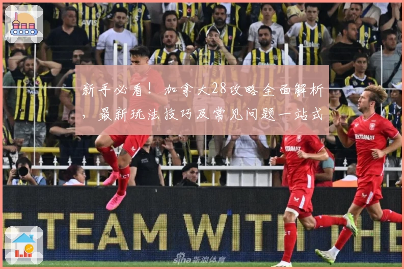 新手必看！加拿大28攻略全面解析，最新玩法技巧及常见问题一站式解答