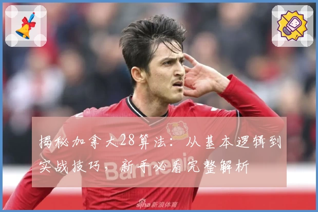 揭秘加拿大28算法：从基本逻辑到实战技巧，新手必看完整解析