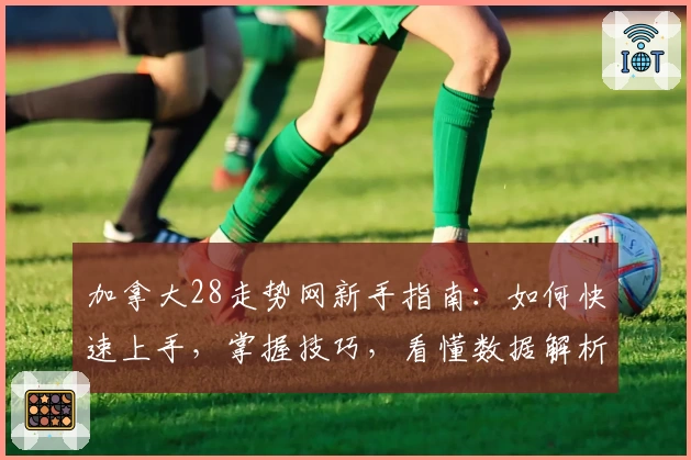 加拿大28走势网新手指南：如何快速上手，掌握技巧，看懂数据解析轻松入门