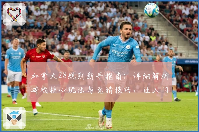 加拿大28规则新手指南：详细解析游戏核心玩法与竞猜技巧，让入门更轻松
