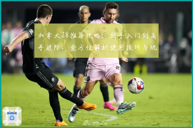 加拿大28推荐攻略：新手入门到高手进阶，全方位解析使用技巧与玩法诀窍