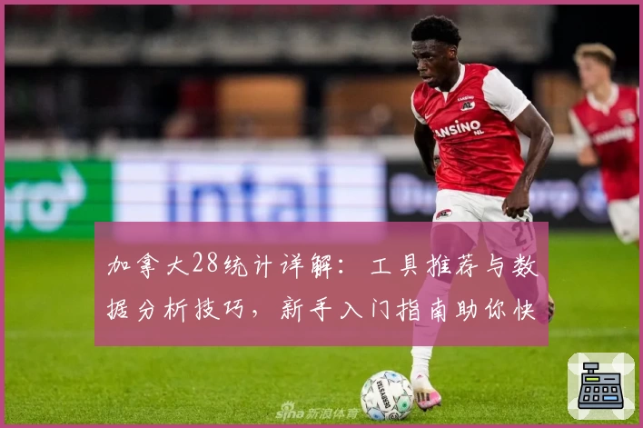 加拿大28统计详解：工具推荐与数据分析技巧，新手入门指南助你快速上手