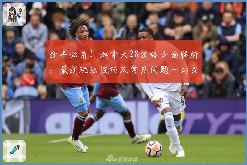 新手必看！加拿大28攻略全面解析，最新玩法技巧及常见问题一站式解答