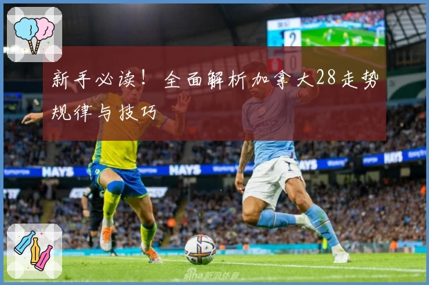 新手必读！全面解析加拿大28走势规律与技巧