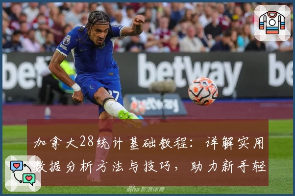 加拿大28统计基础教程：详解实用数据分析方法与技巧，助力新手轻松上手