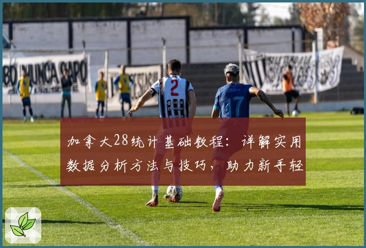 加拿大28统计基础教程：详解实用数据分析方法与技巧，助力新手轻松上手