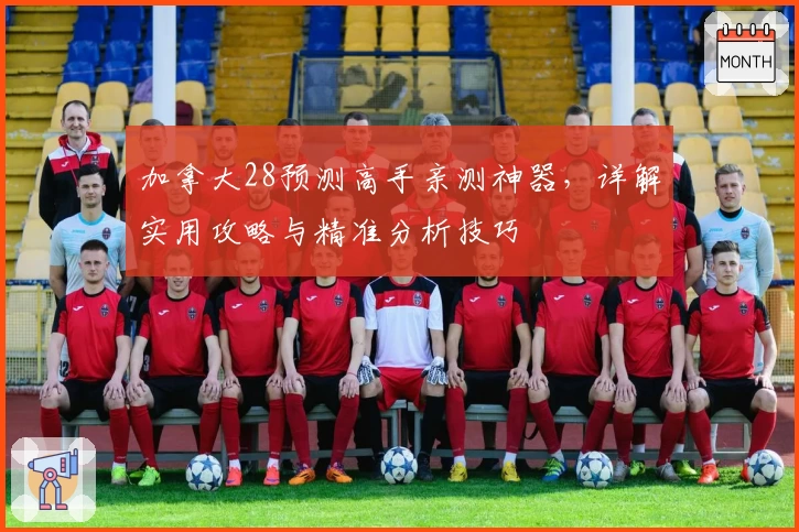 加拿大28预测高手亲测神器，详解实用攻略与精准分析技巧