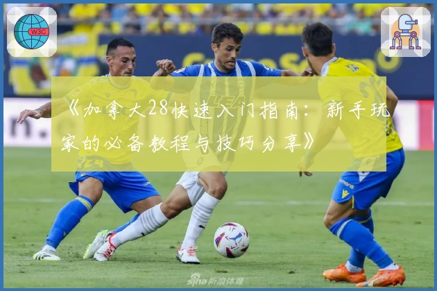 《加拿大28快速入门指南：新手玩家的必备教程与技巧分享》