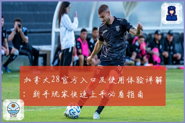 加拿大28官方入口及使用体验详解：新手玩家快速上手必看指南