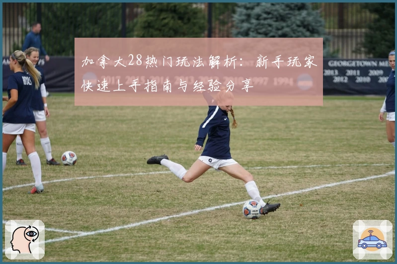加拿大28热门玩法解析：新手玩家快速上手指南与经验分享