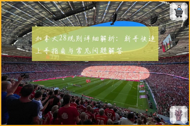 加拿大28规则详细解析：新手快速上手指南与常见问题解答