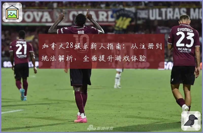 加拿大28娱乐新人指南：从注册到玩法解析，全面提升游戏体验