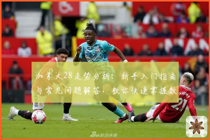 加拿大28走势分析：新手入门指南与常见问题解答，教你快速掌握数据规律