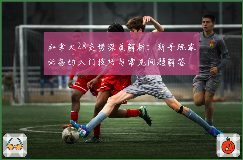 加拿大28走势深度解析：新手玩家必备的入门技巧与常见问题解答