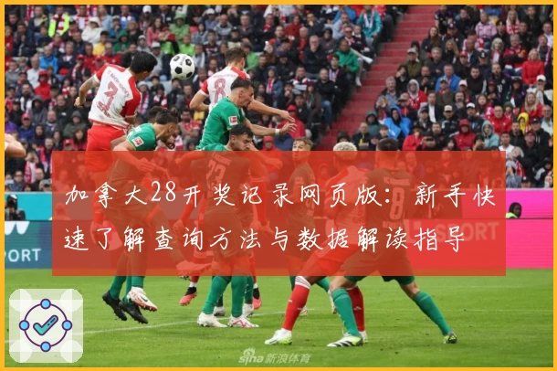 加拿大28开奖记录网页版：新手快速了解查询方法与数据解读指导