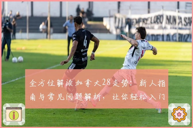 全方位解读加拿大28走势：新人指南与常见问题解析，让你轻松入门