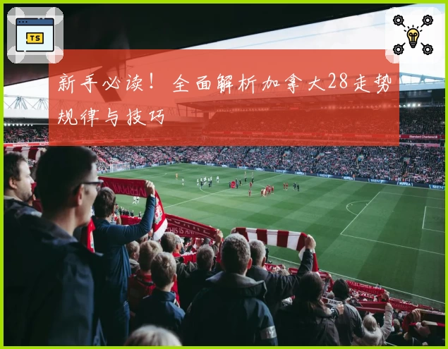 新手必读！全面解析加拿大28走势规律与技巧