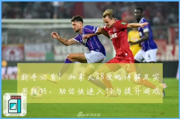 新手必看！加拿大28攻略详解及实用技巧，助你快速入门与提升游戏体验