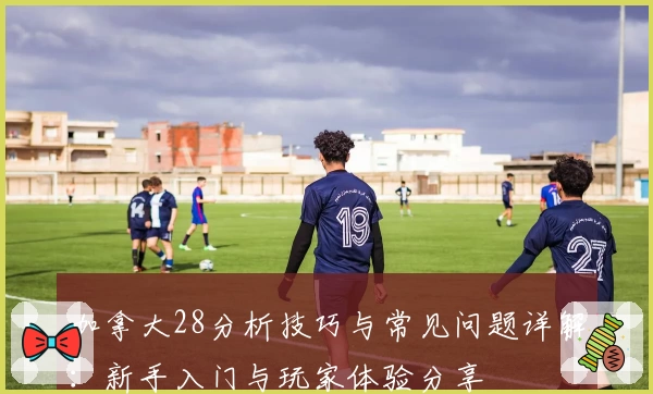 加拿大28分析技巧与常见问题详解：新手入门与玩家体验分享