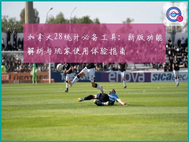 加拿大28统计必备工具：新版功能解析与玩家使用体验指南
