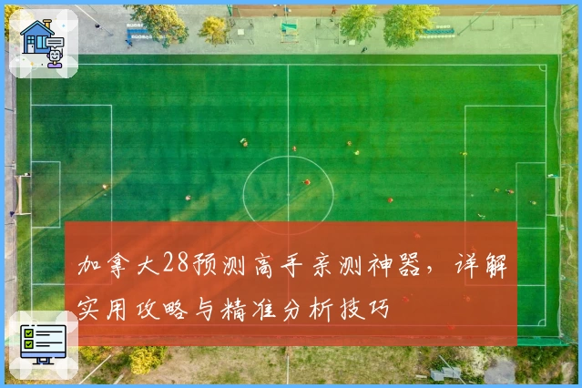 加拿大28预测高手亲测神器，详解实用攻略与精准分析技巧