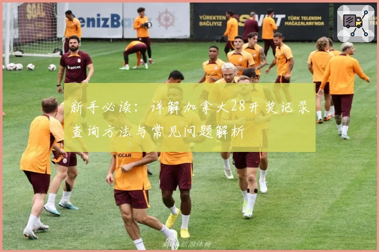 新手必读：详解加拿大28开奖记录查询方法与常见问题解析