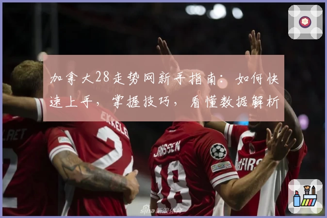 加拿大28走势网新手指南：如何快速上手，掌握技巧，看懂数据解析轻松入门